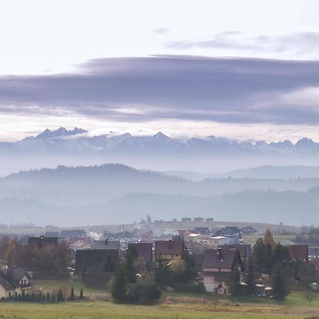 Willa Bodziuchówka Mizerna Zewnętrze zdjęcie